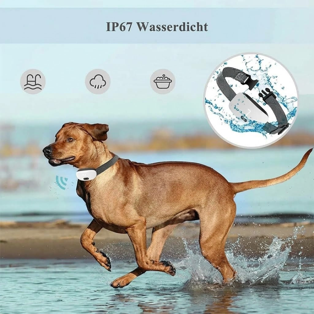 PupCalmi Antibellhalsband Für Kleine Hunde