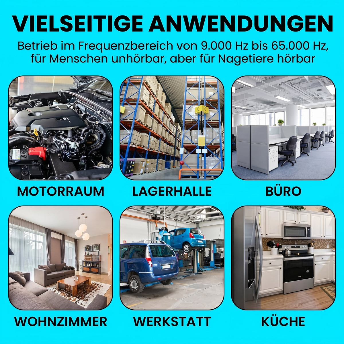 AutexRat Marderschutz Fürs Auto