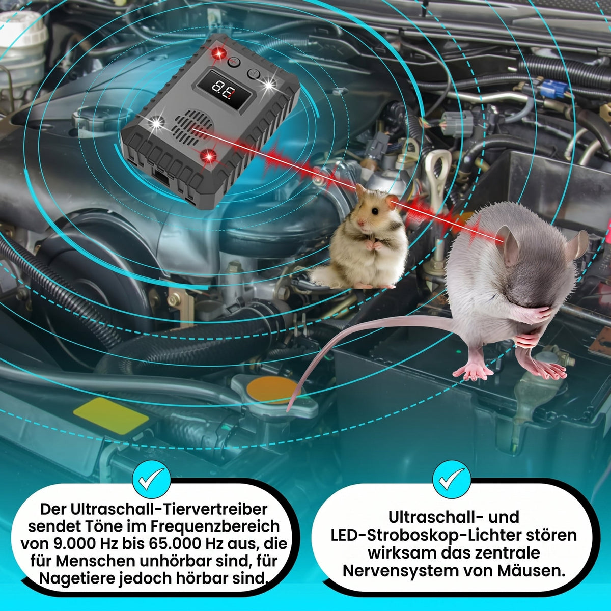 AutexRat Marderschutz Fürs Auto