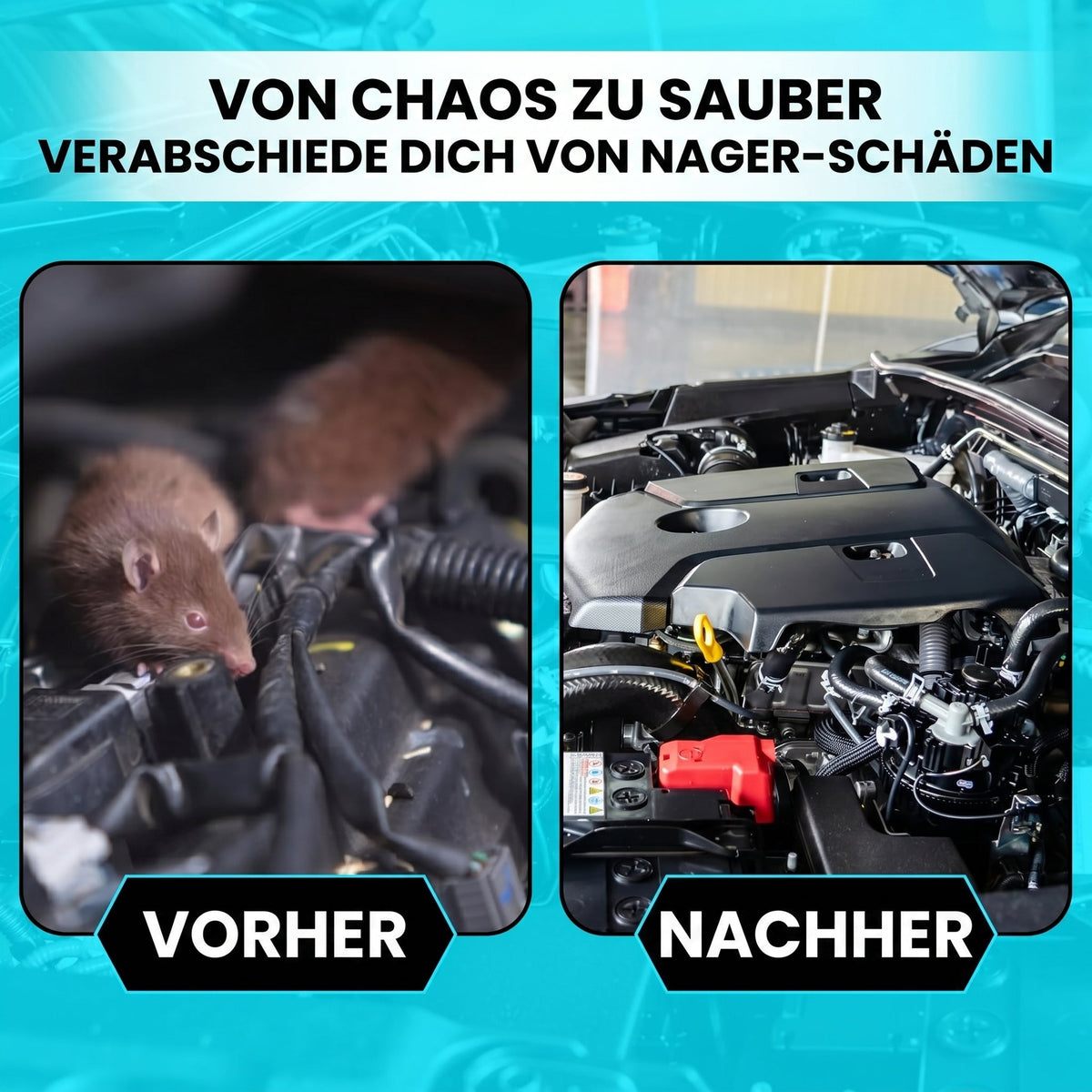 AutexRat Marderschutz Fürs Auto