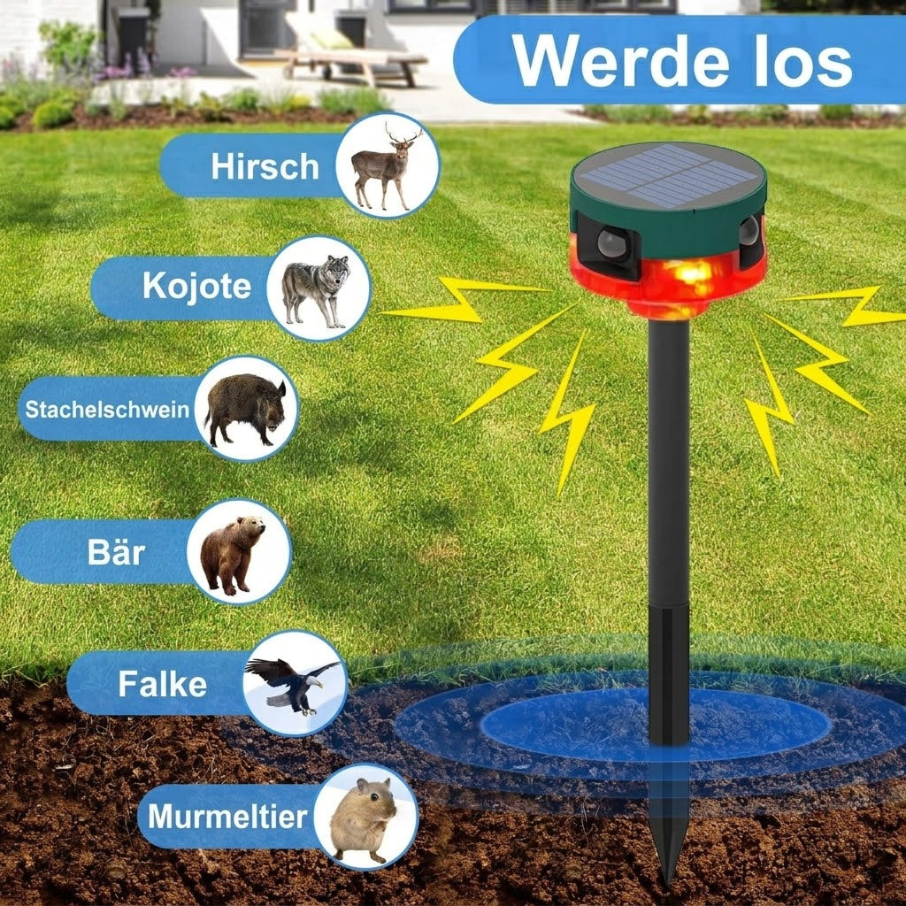 BirdyBane Taubenschreck Ultraschall