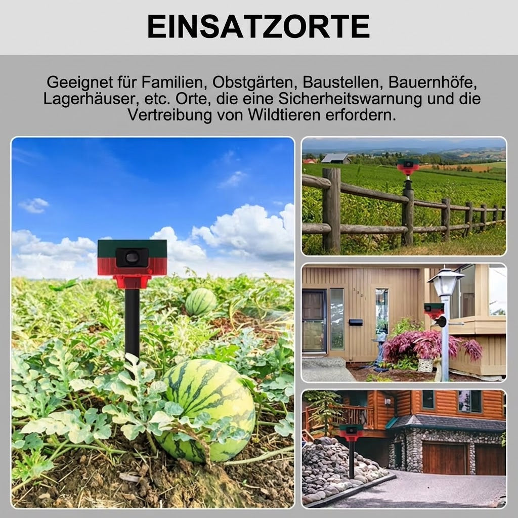 BirdyBane Taubenschreck Ultraschall