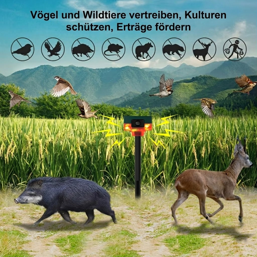 BirdyBane Taubenschreck Ultraschall