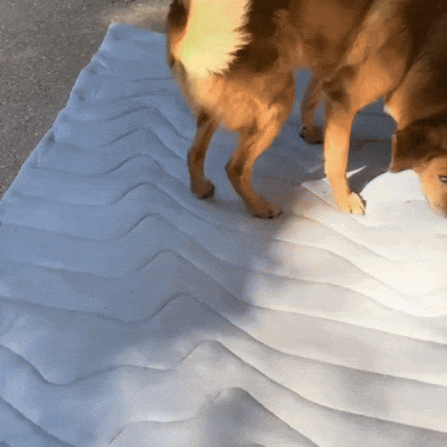 PawFroste Kühlmatte Hund Ohne Gel