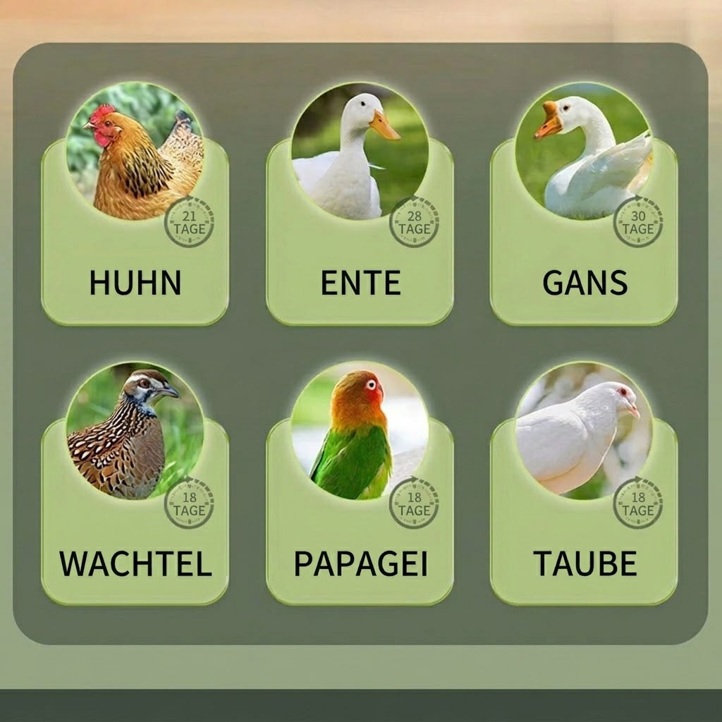 Hatchivax Brutautomat