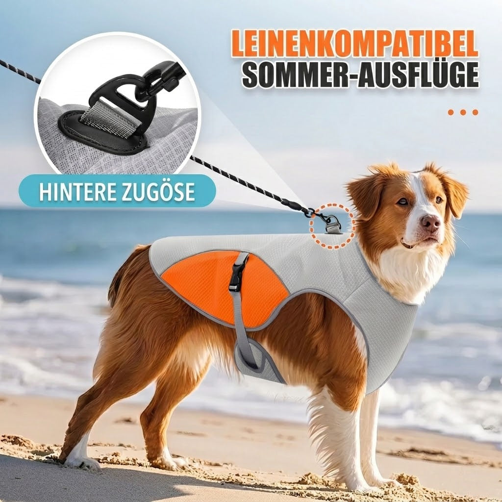 IcePupur Hund Kühlweste