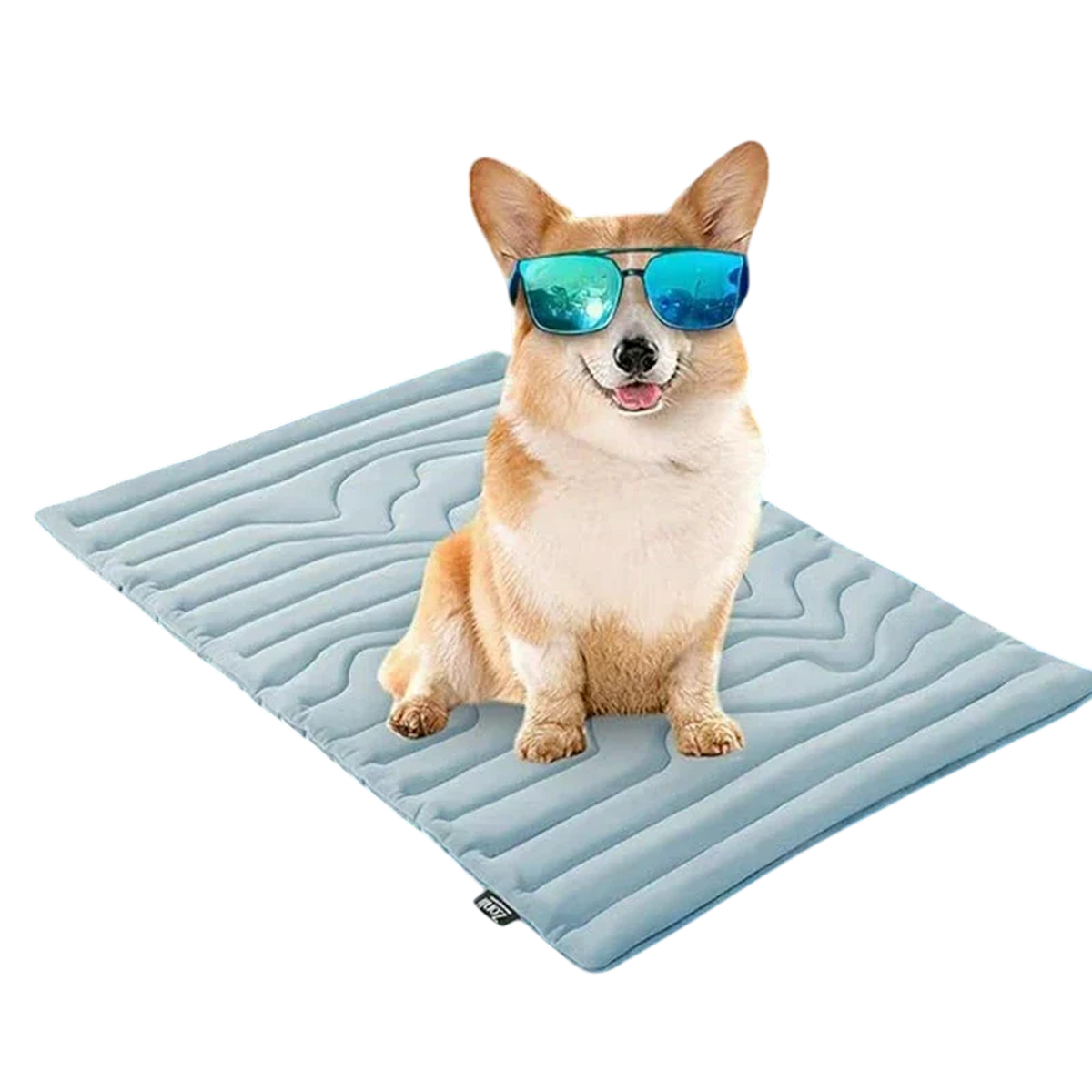 PawFroste Kühlmatte Hund Ohne Gel