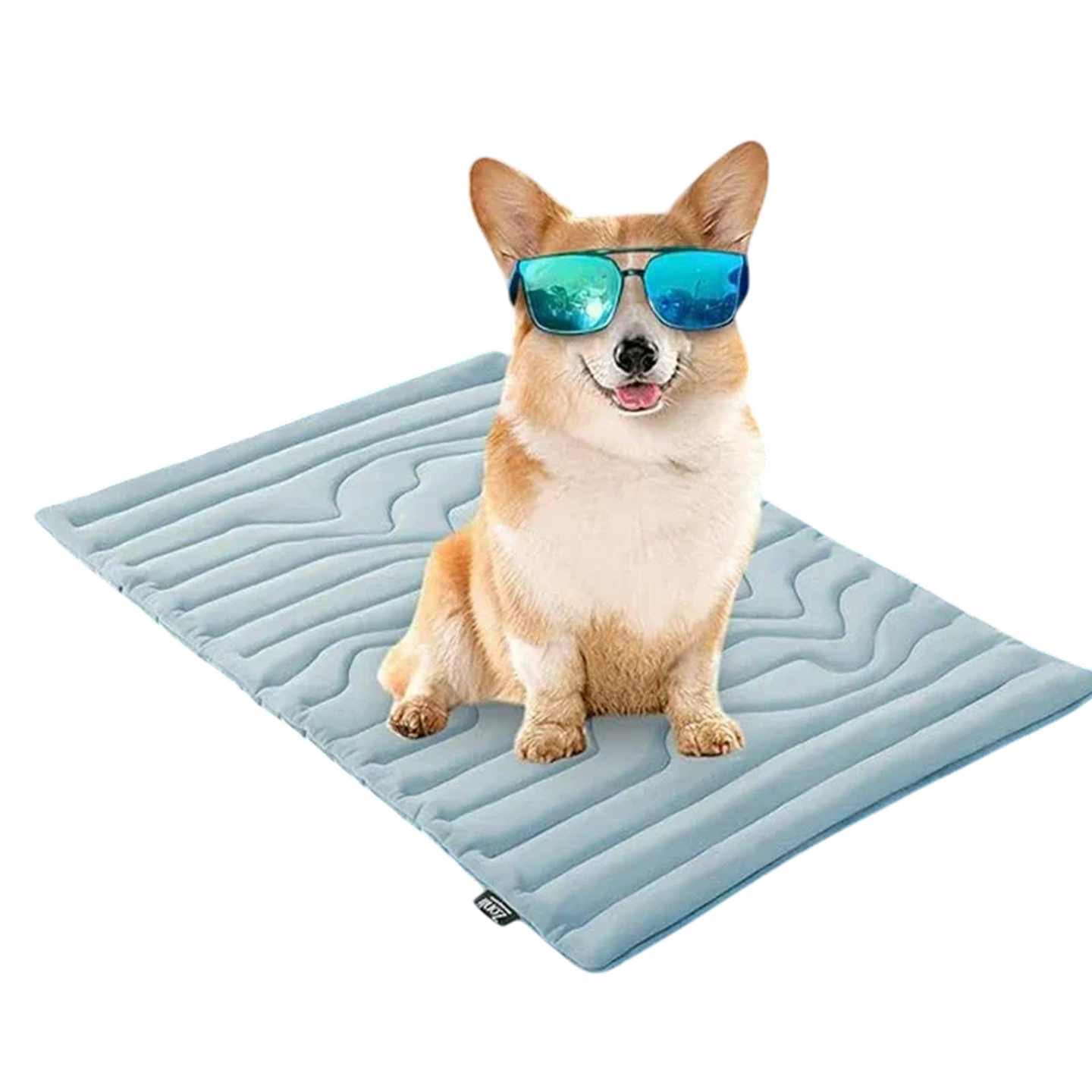 PawFroste Kühlmatte Hund Ohne Gel