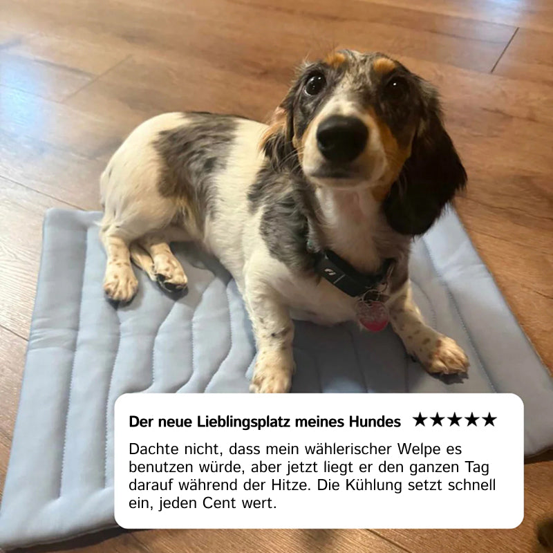 PawFroste Kühlmatte Hund Ohne Gel