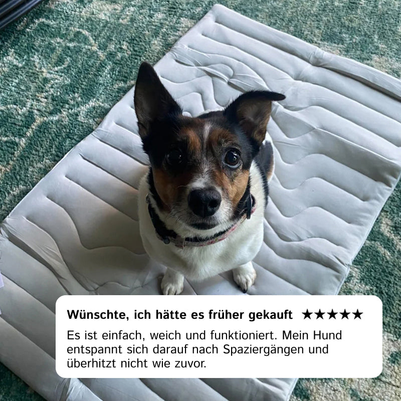 PawFroste Kühlmatte Hund Ohne Gel