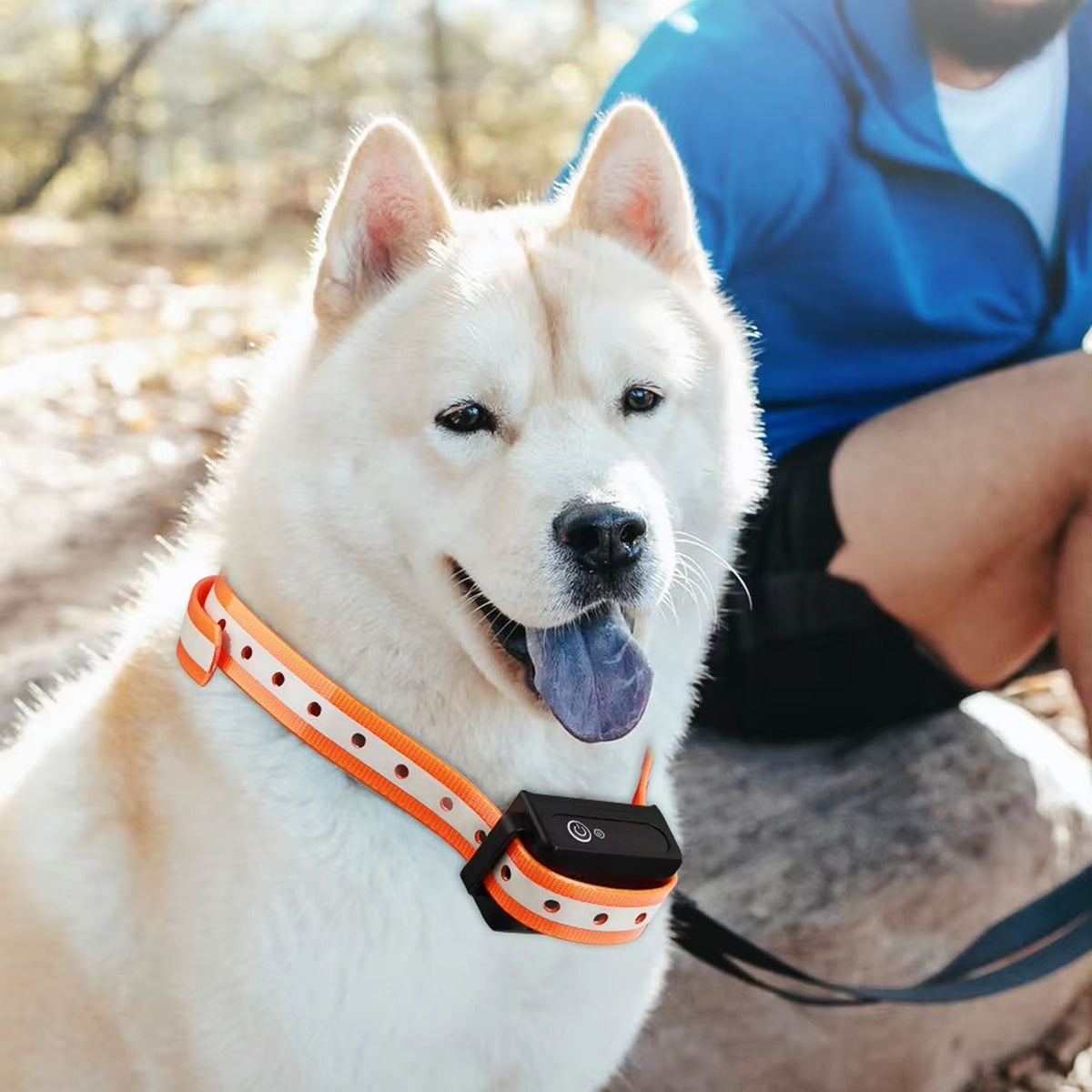 Pawtopie Elektrohalsband Für Hunde