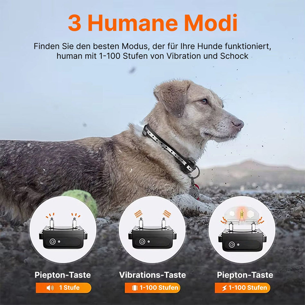 Pawtopie Elektrohalsband Für Hunde