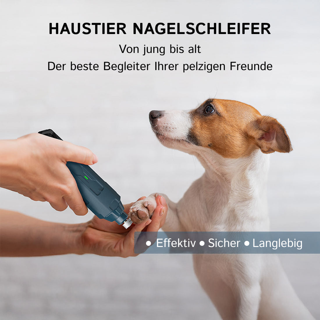 PawyZie Krallenschleifer Für Hunde