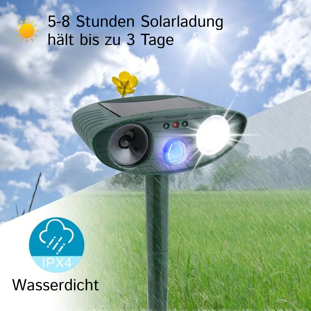 PestiqPaw Waschbär Schreck