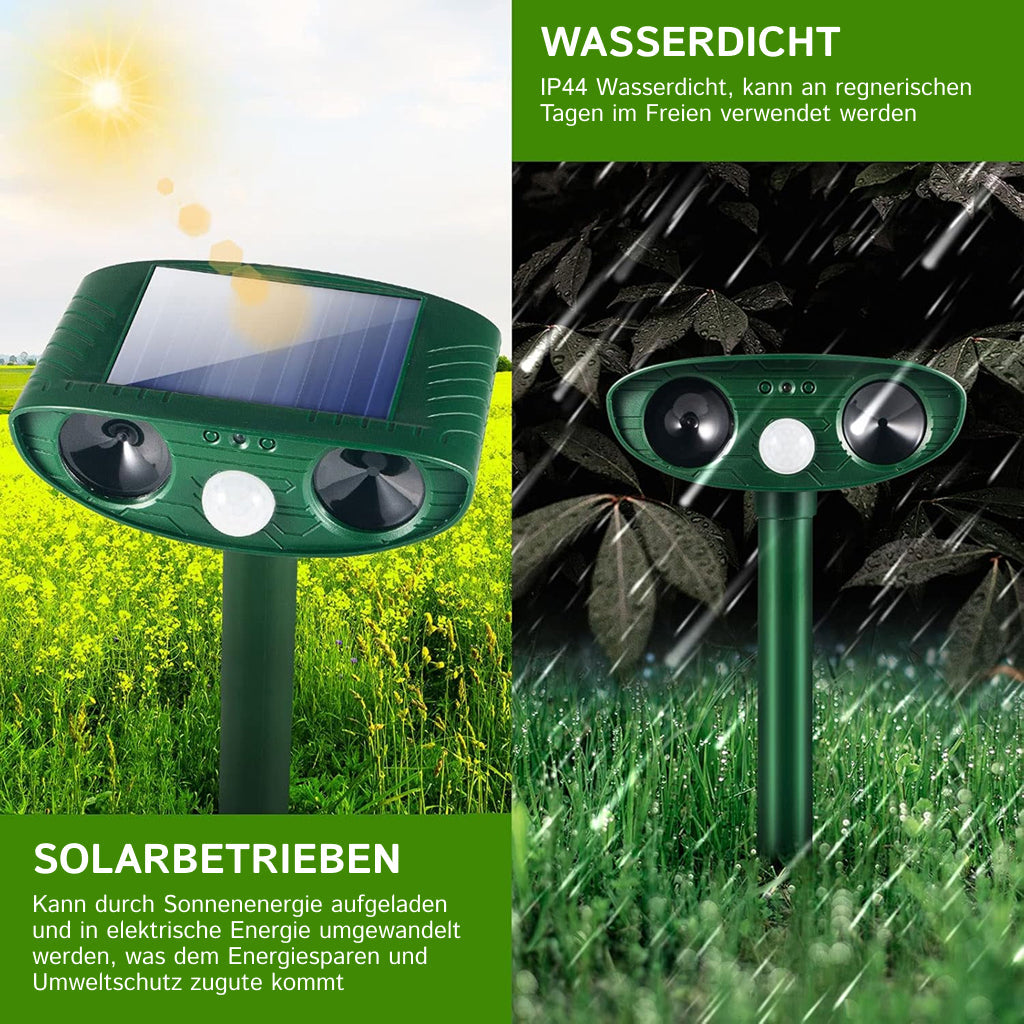PestiqPaw Waschbär Schreck