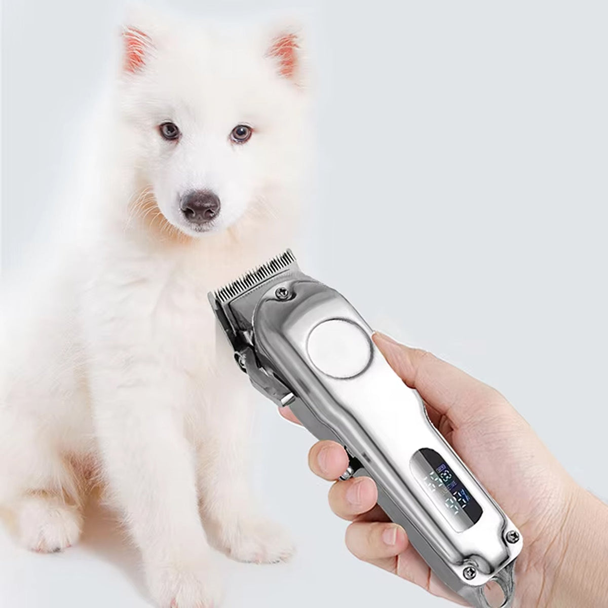 PupiRolex Hundeschermaschine