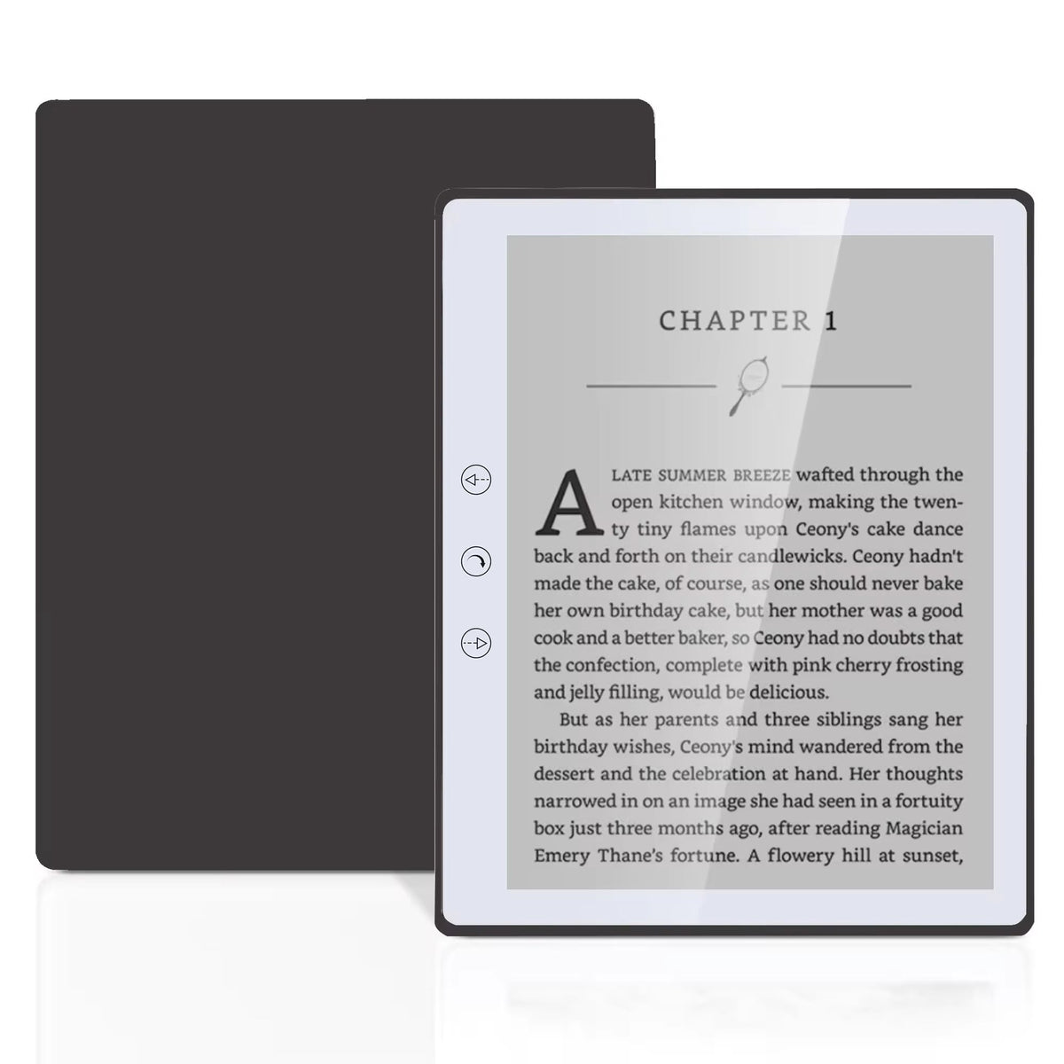 Readerox Lesetablet