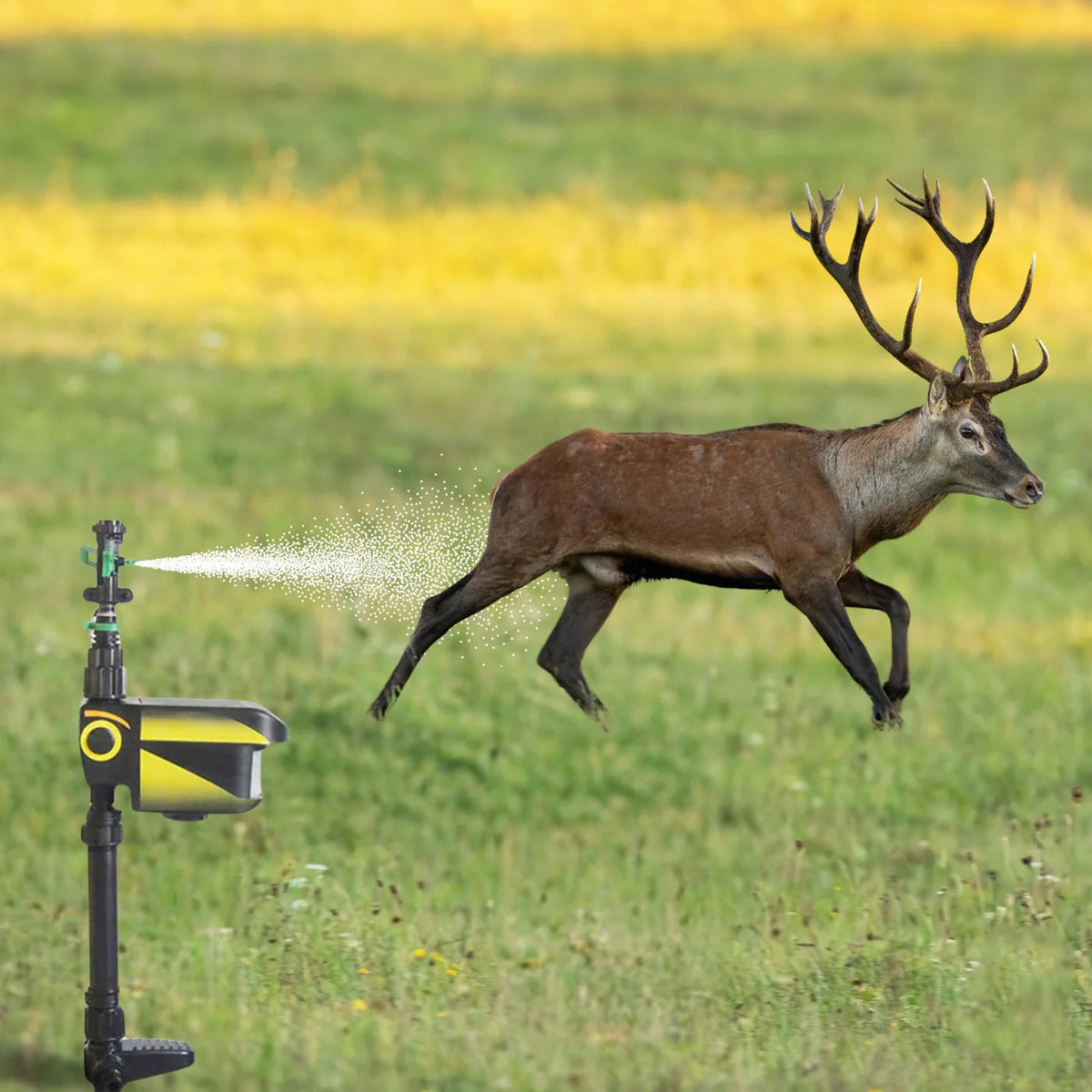 Sprixcle Wasserstrahl Tiervertreiber