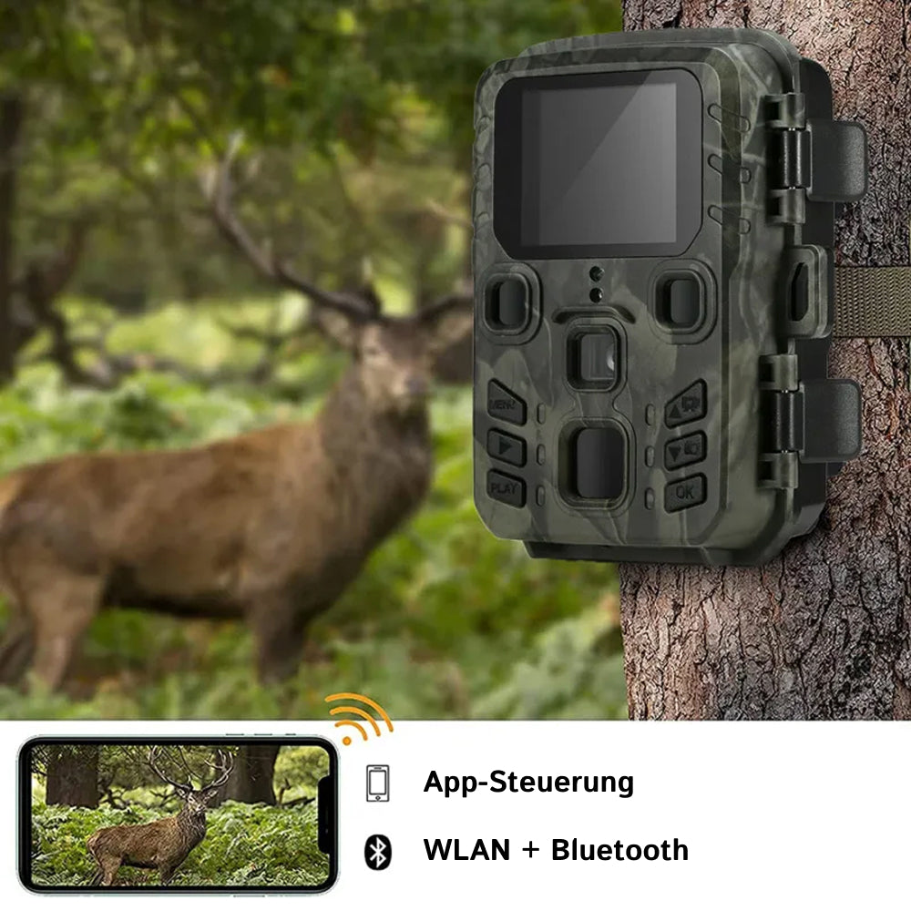 TrackaPix Wildkamera Garten