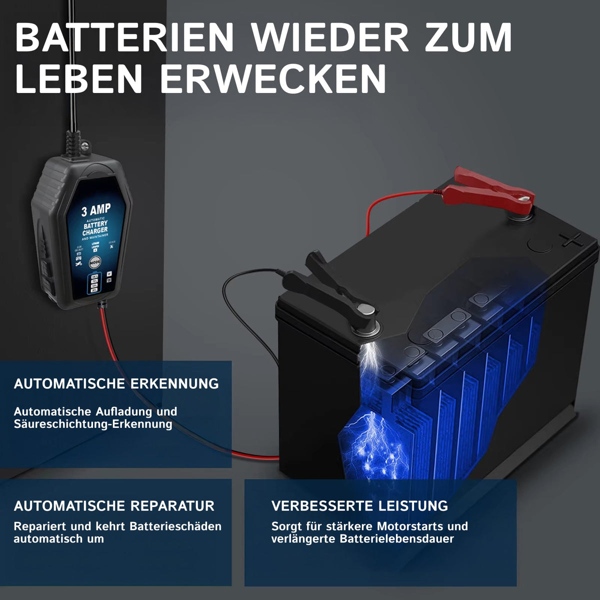 Voltebax Batterieerhaltungsgerät Auto